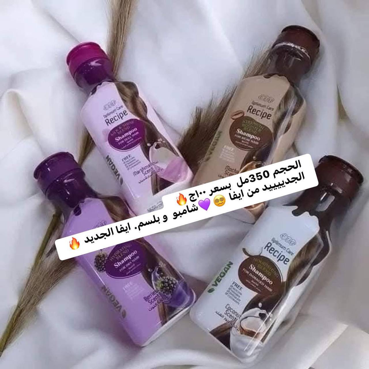شامبو ايفا الجديد ٩٥ج